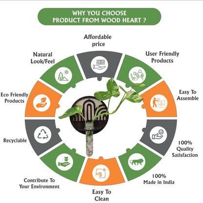 ArchFlow Round Wall-Mount Test Tube Planter
