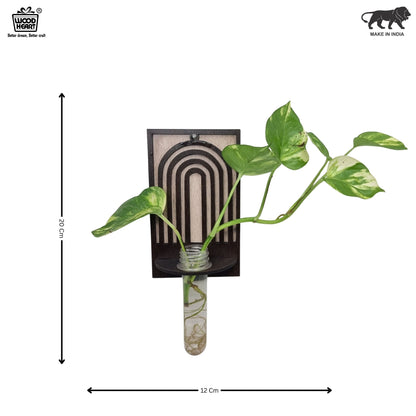 ArchNest Wall-Mount Test Tube Planter