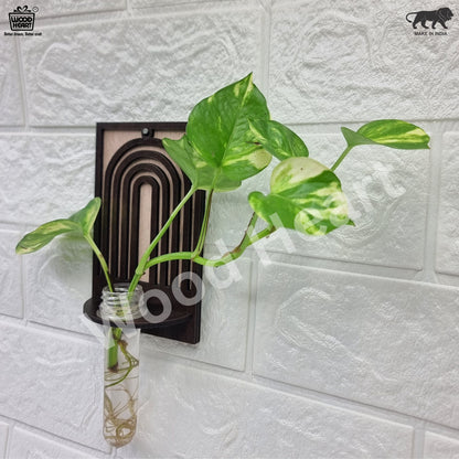 ArchNest Wall-Mount Test Tube Planter