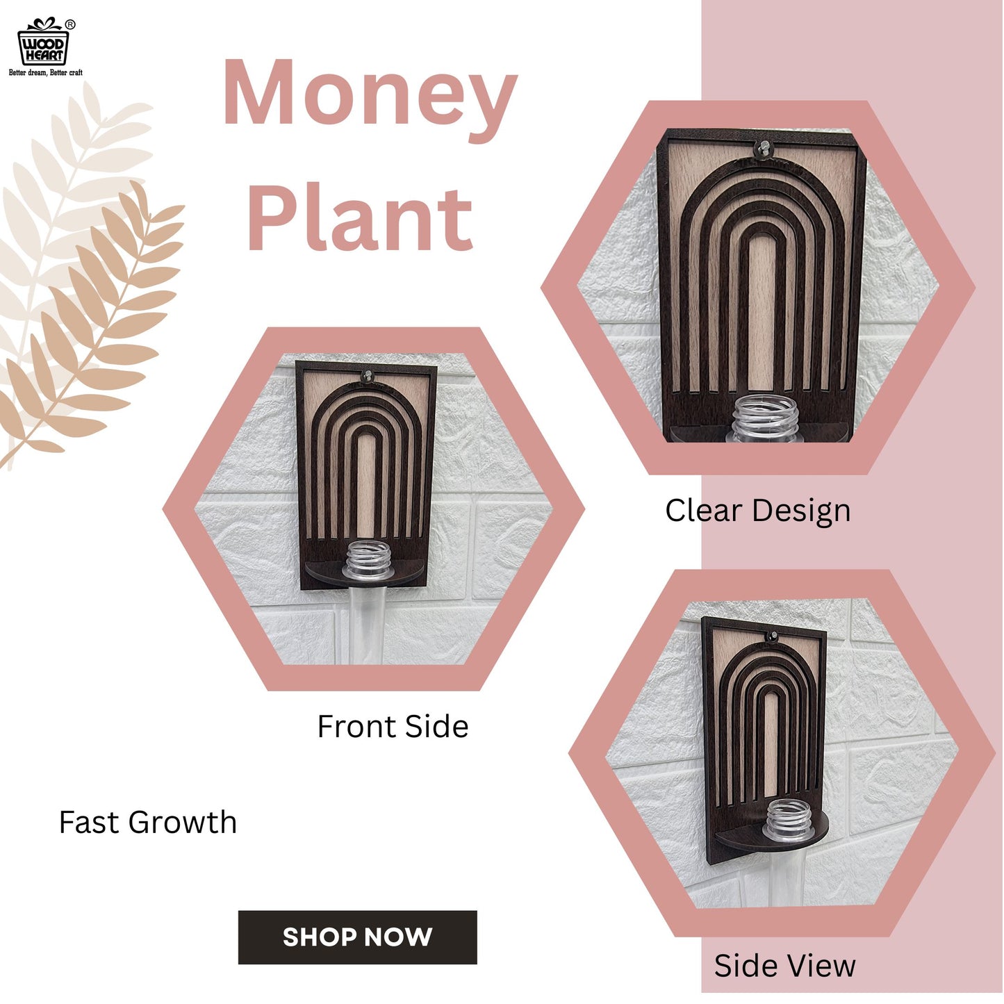 ArchNest Wall-Mount Test Tube Planter