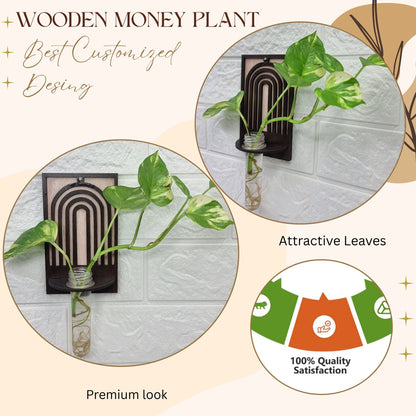 ArchNest Wall-Mount Test Tube Planter