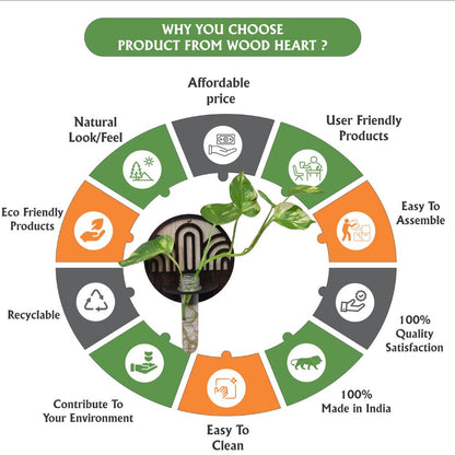 ArchNest Wall-Mount Test Tube Planter