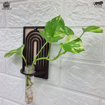 ArchNest Wall-Mount Test Tube Planter