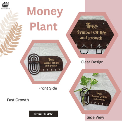 TreeLife Wall-Mount Test Tube Planter with Key Holder