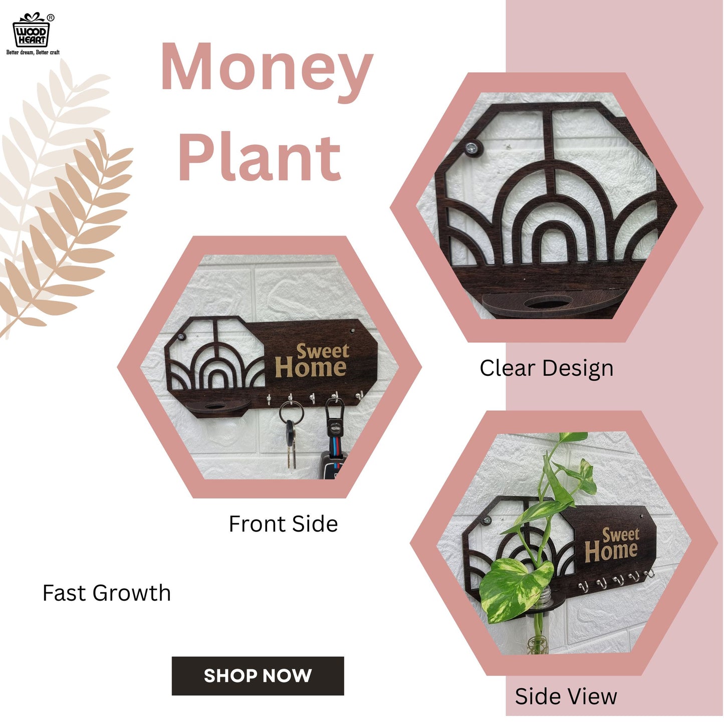 “Sweet Home” Wall-Mount Test Tube Planter with Key Holder