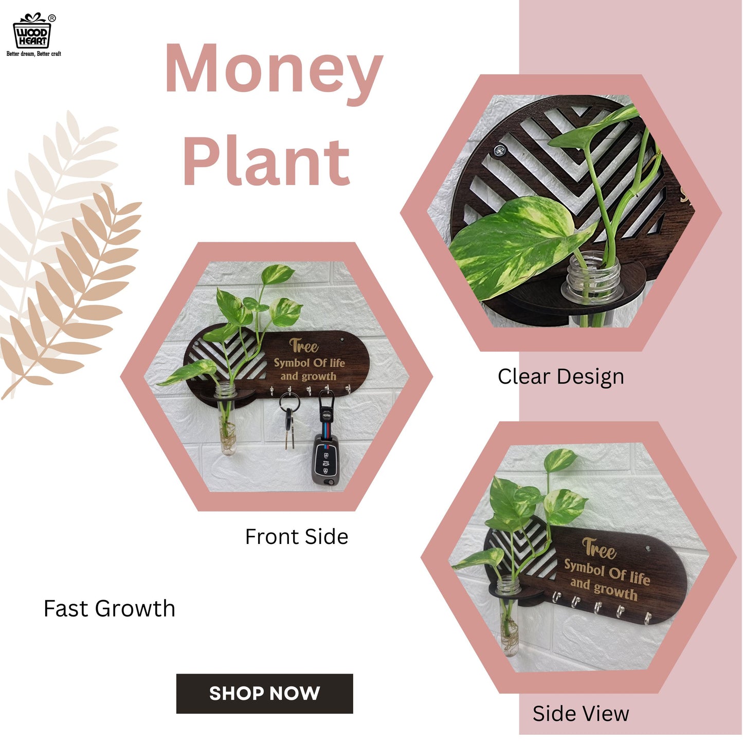 “Tree of Life” Wall-Mount Test Tube Planter with Key Holder