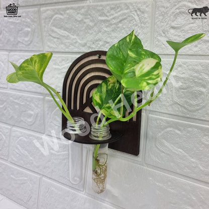Wooden Wall Hanging Planter with Dual Glass Tubes