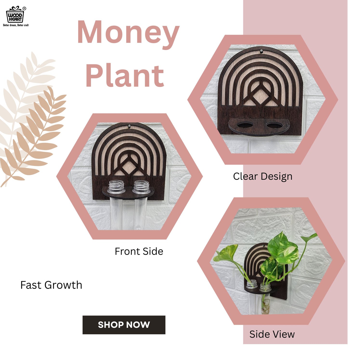 Wooden Wall Hanging Planter with Dual Glass Tubes