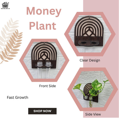 Wooden Wall Hanging Planter with Dual Glass Tubes
