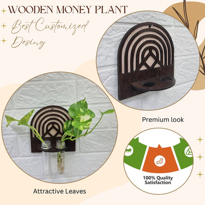 Wooden Wall Hanging Planter with Dual Glass Tubes