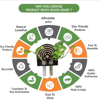 Wooden Wall Hanging Planter with Dual Glass Tubes