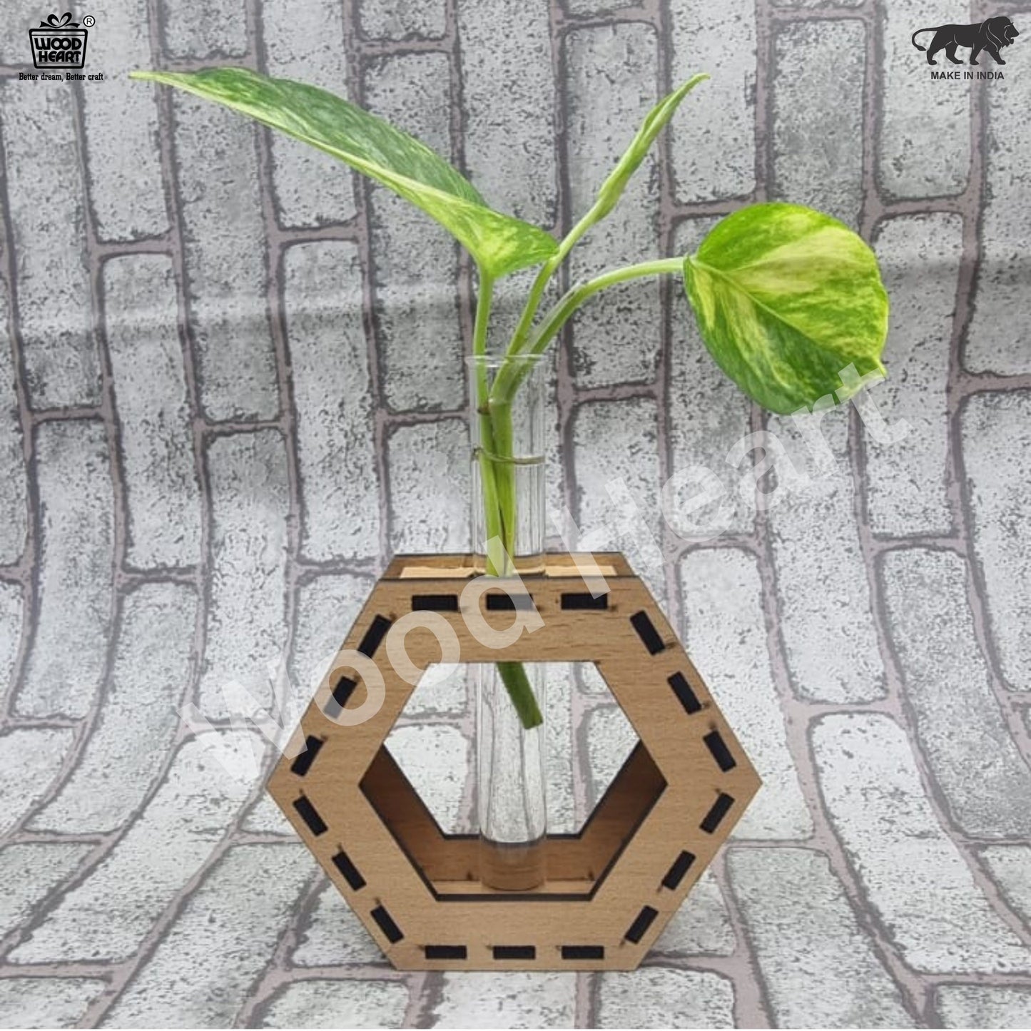 Wooden Hexagon Tabletop Planter with Glass Tube