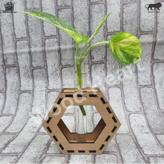 Wooden Hexagon Tabletop Planter with Glass Tube