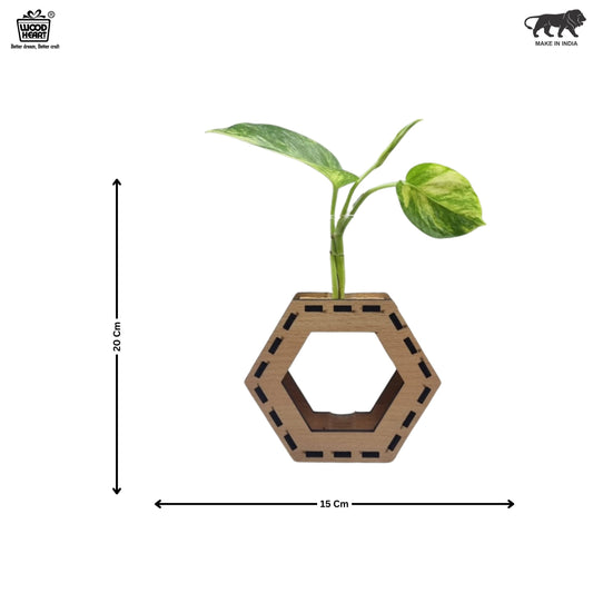 Wooden Hexagon Tabletop Planter with Glass Tube