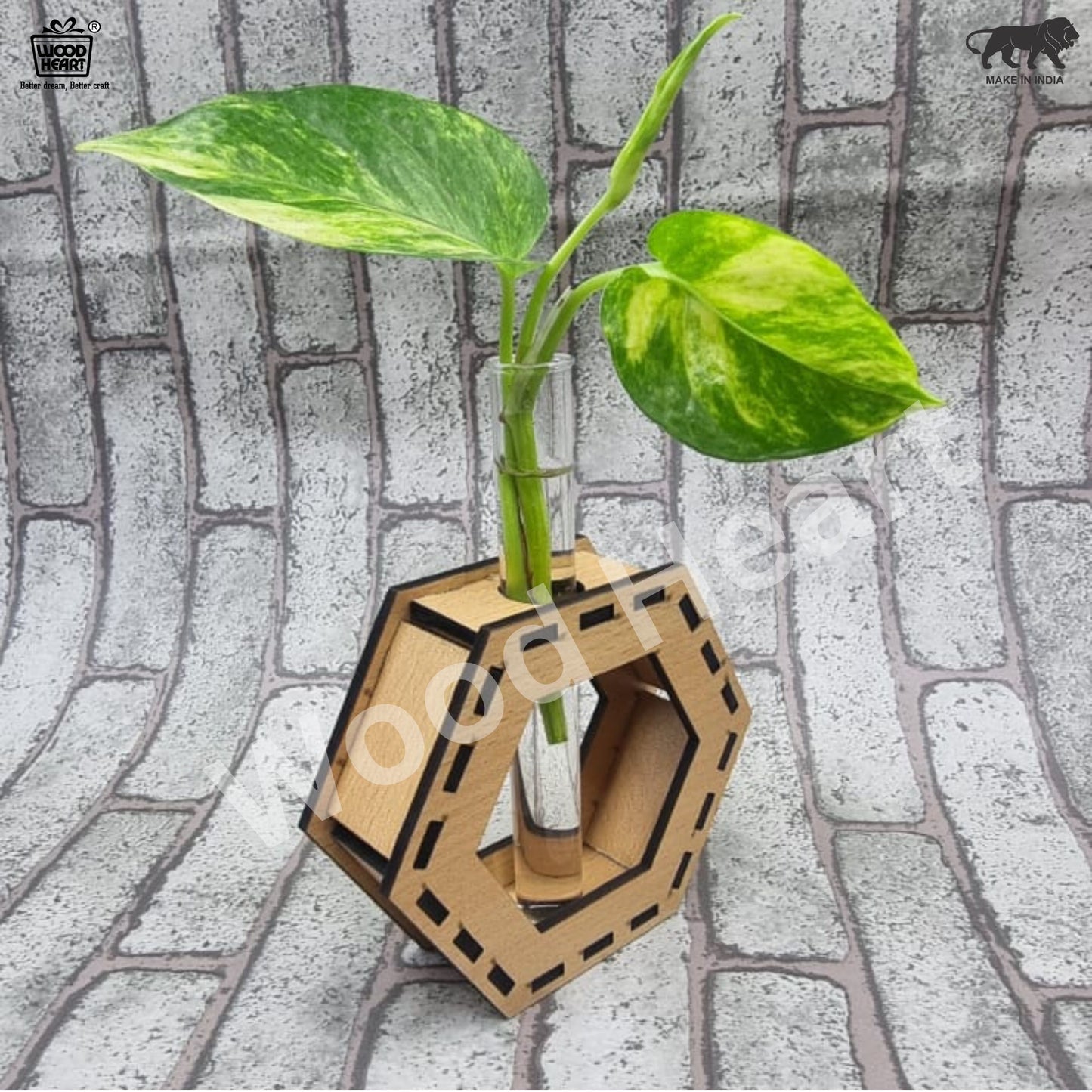 Wooden Hexagon Tabletop Planter with Glass Tube