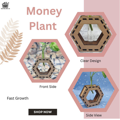 Wooden Hexagon Tabletop Planter with Glass Tube