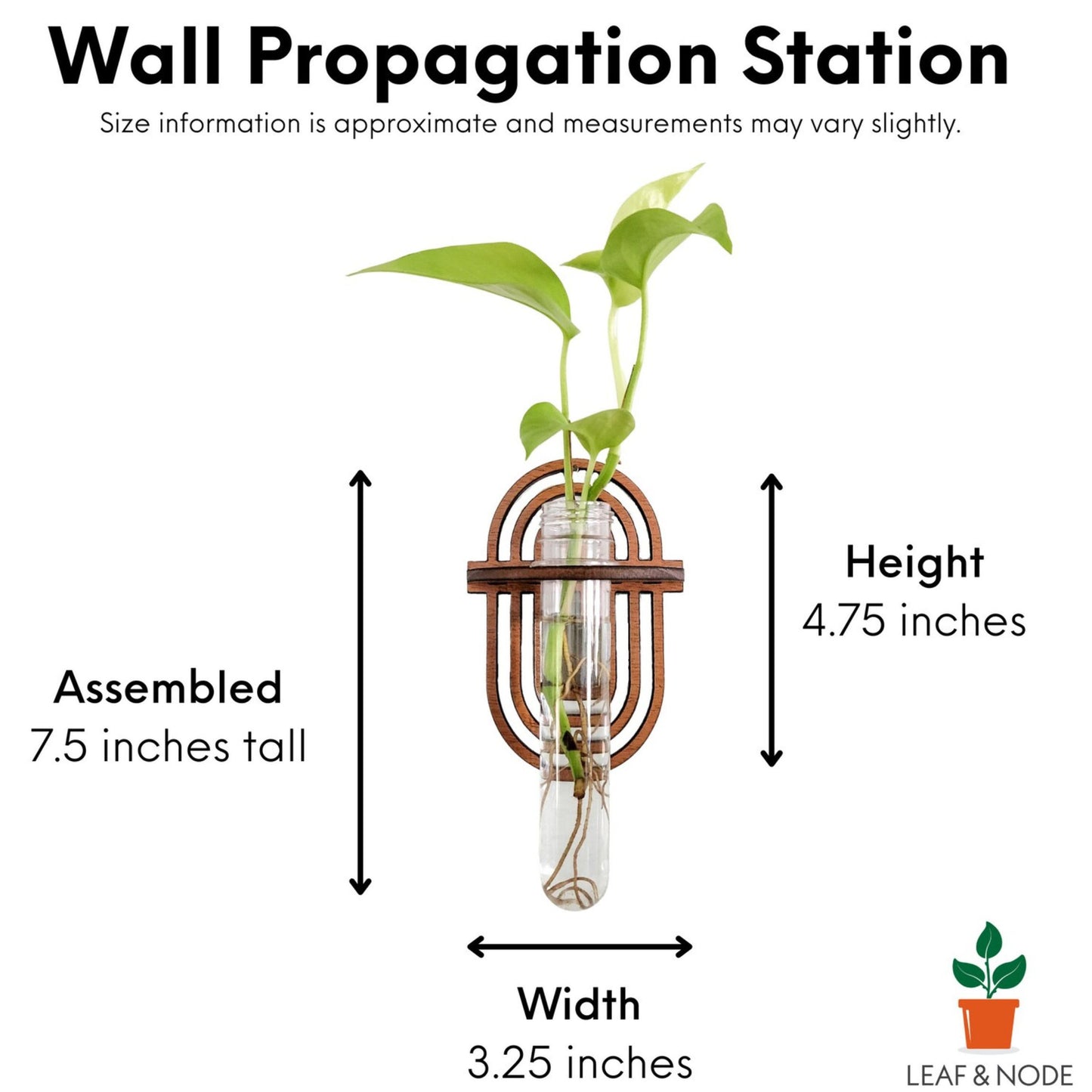 Wooden Geometric Wall Hanging Planter with Glass Tube