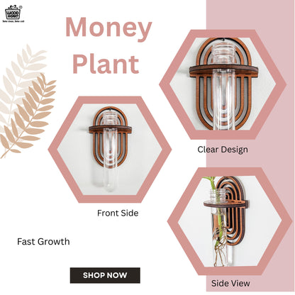 Wooden Geometric Wall Hanging Planter with Glass Tube